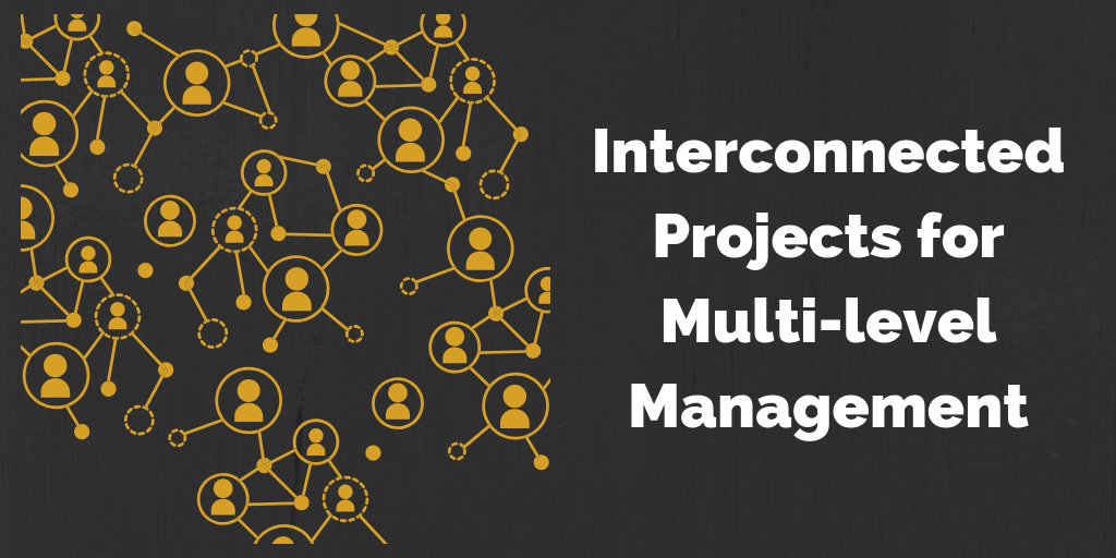 Interconnected Projects for Multi-level Management | Aras