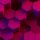 prasad_deokar_steepgraph_com's avatar